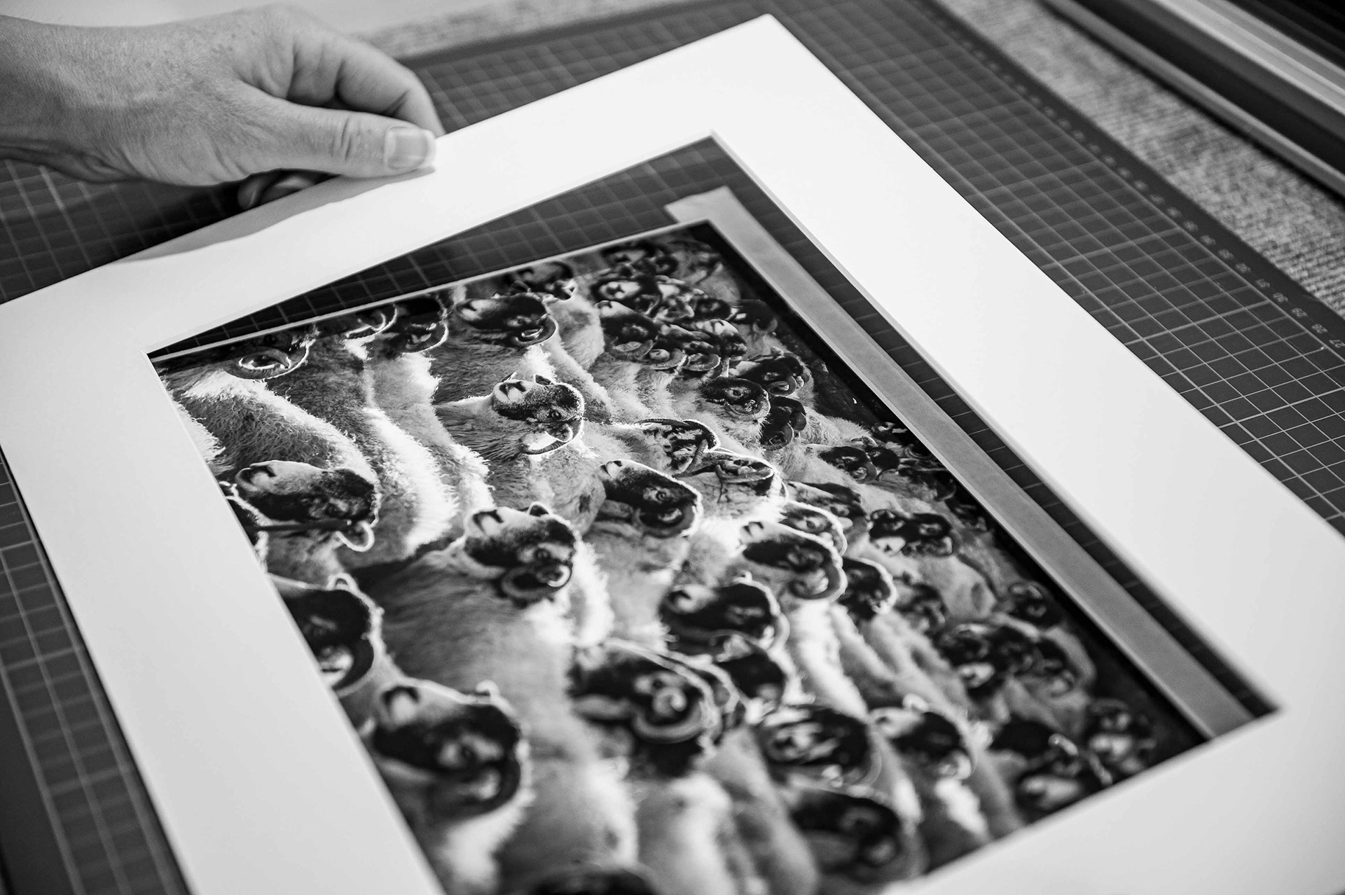 Scenicview Gallery Mounting & Framing