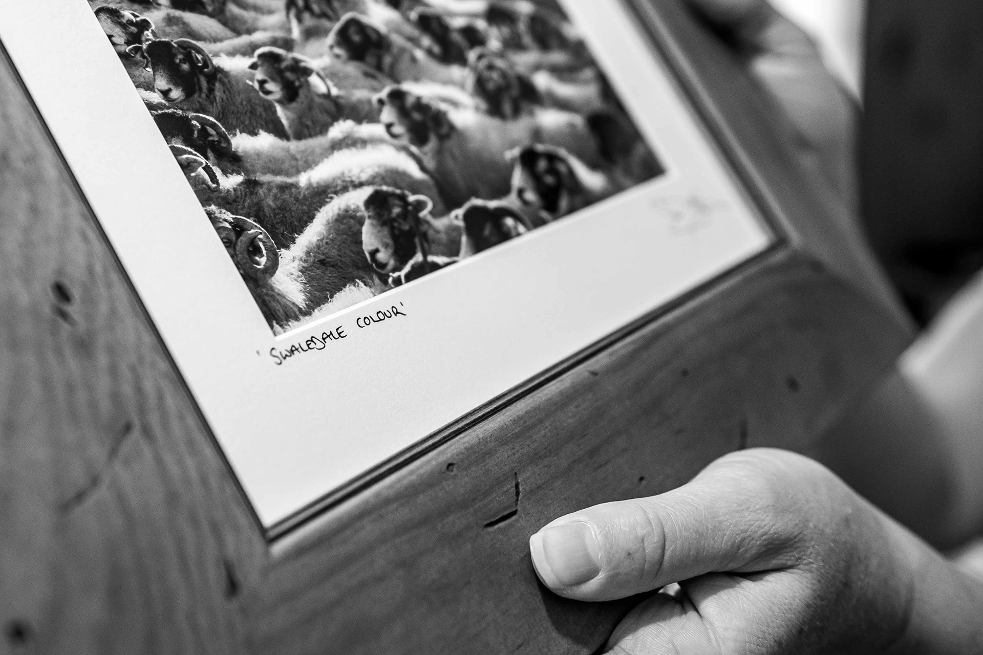 Scenicview Gallery Mounting & Framing