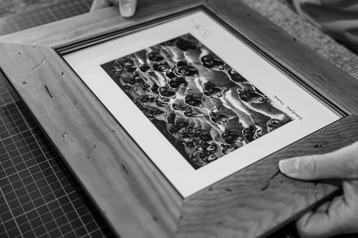 Scenicview Gallery Mounting & Framing