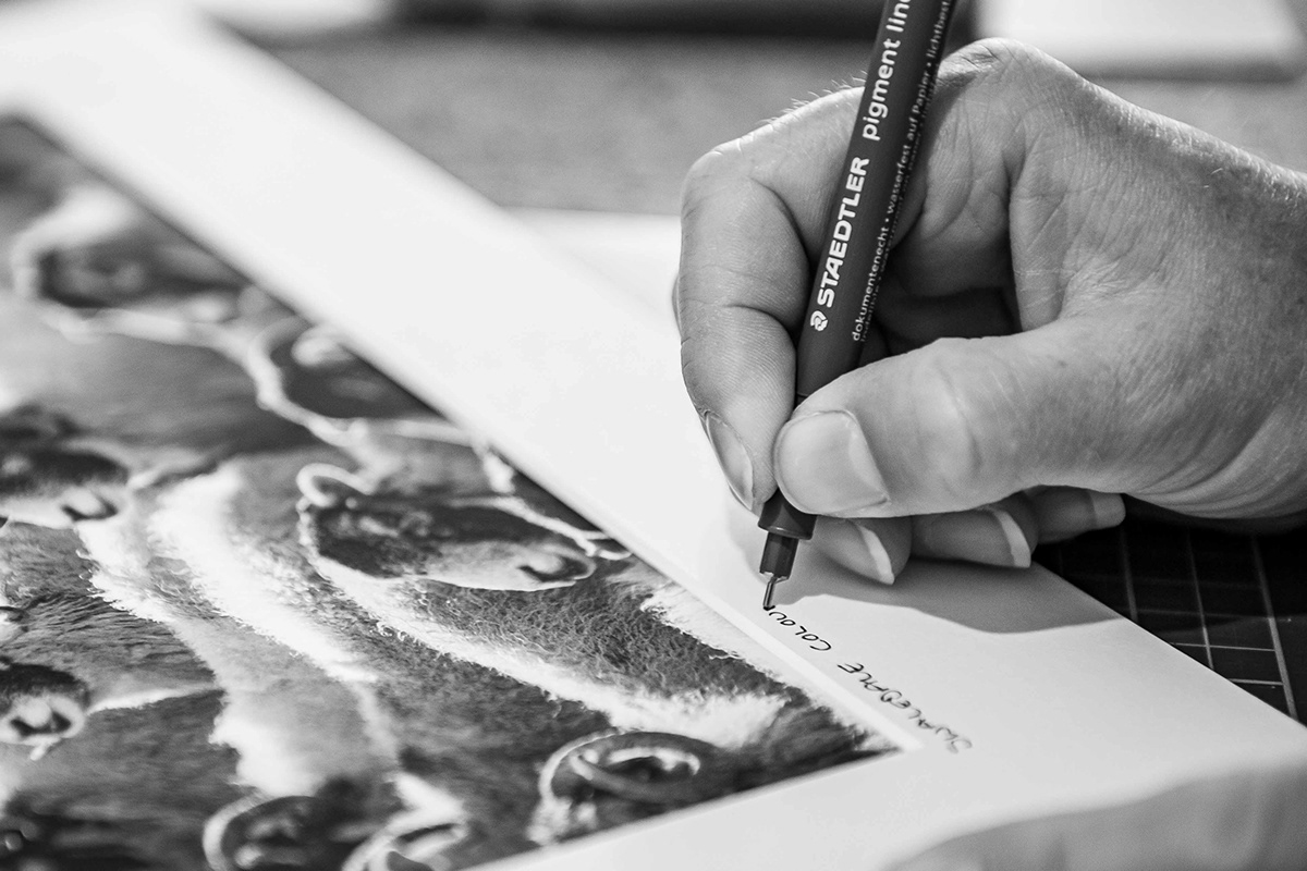 Scenicview Gallery Mounting & Framing