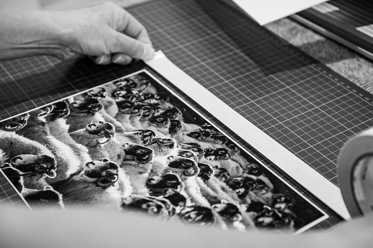 Scenicview Gallery Mounting & Framing