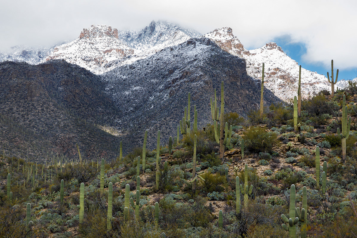 Sabino Canyon 4