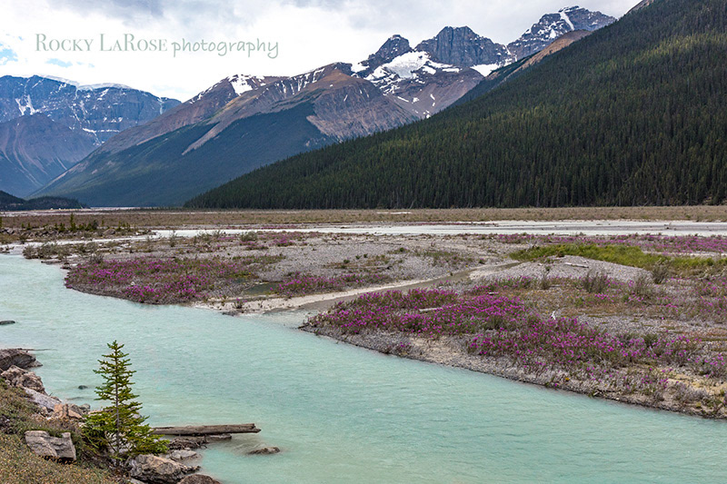 Alberta, Canada