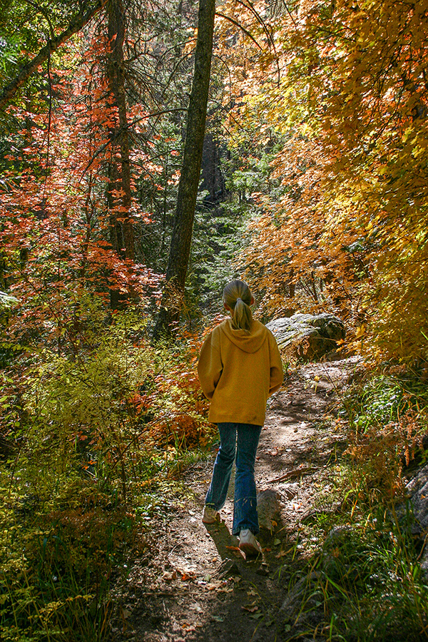 5 Mt. Lemmon