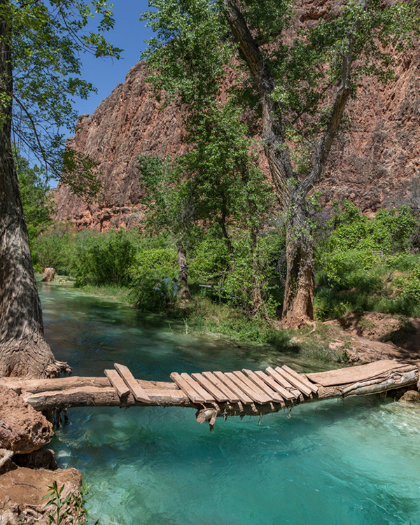 20 Havasu