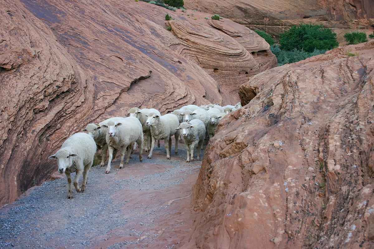 8 Canyon de Chelly
