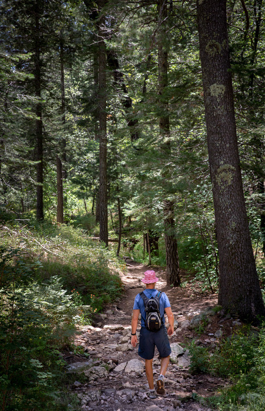 14 Mt. Lemmon Marshall Gulch