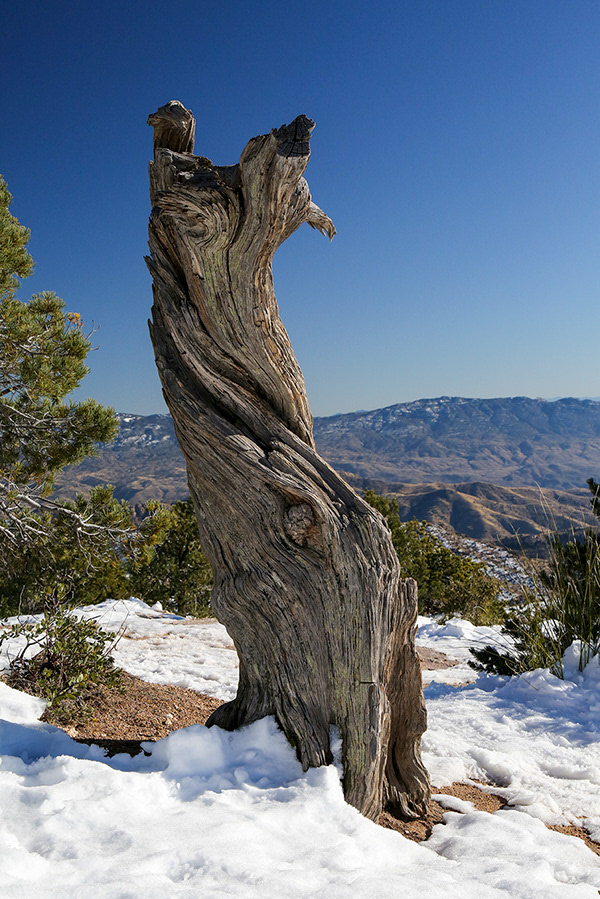 12 Mt. Lemmon Windy Point