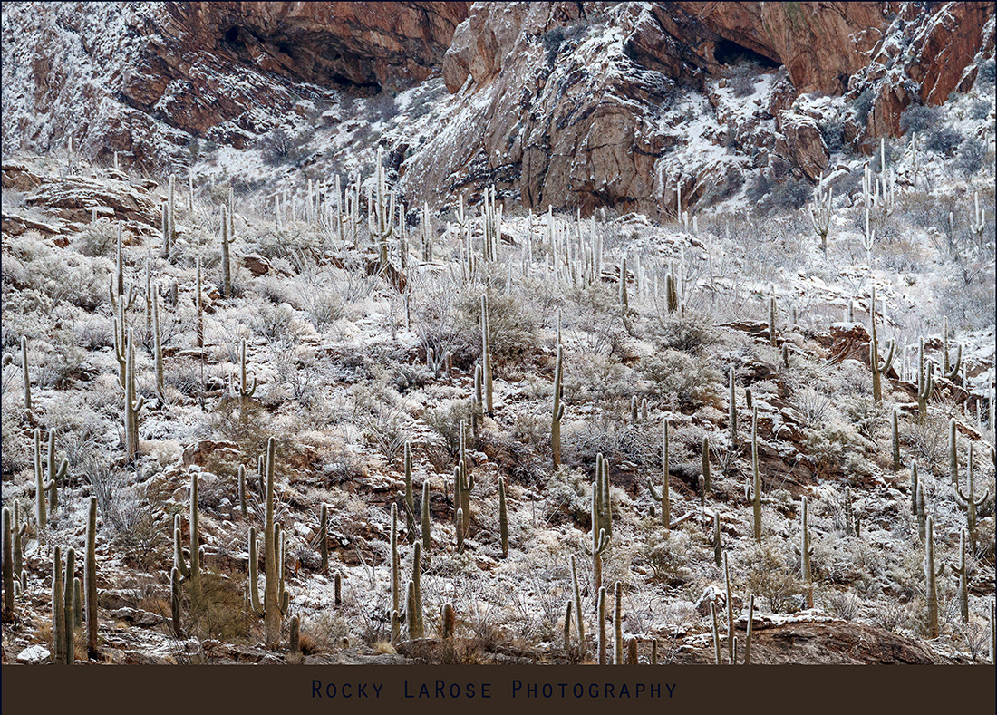 Catalina Mountains 4