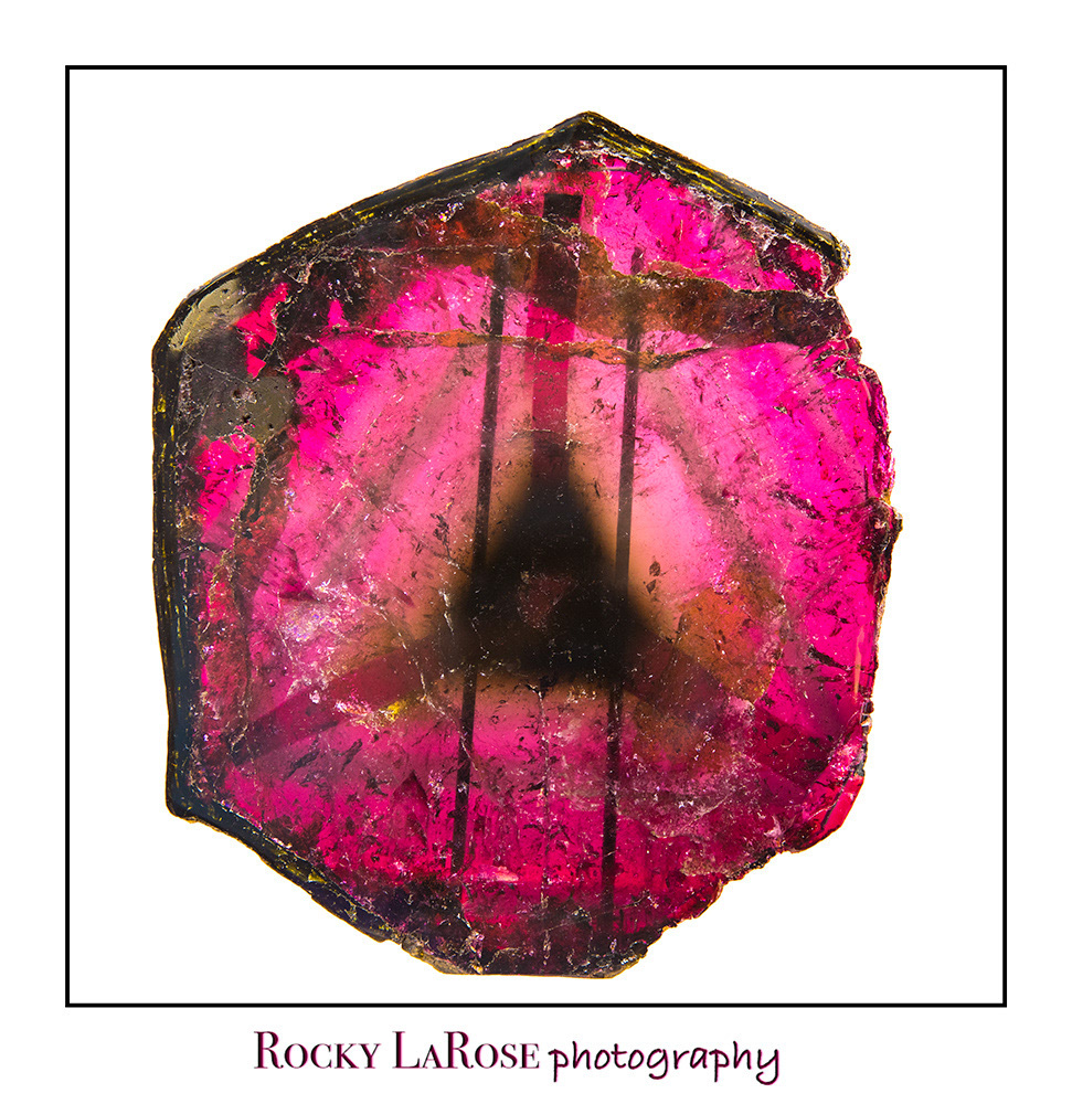 1 Gem Show