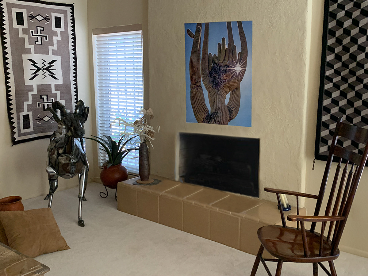 Private Home - Crested Saguaro