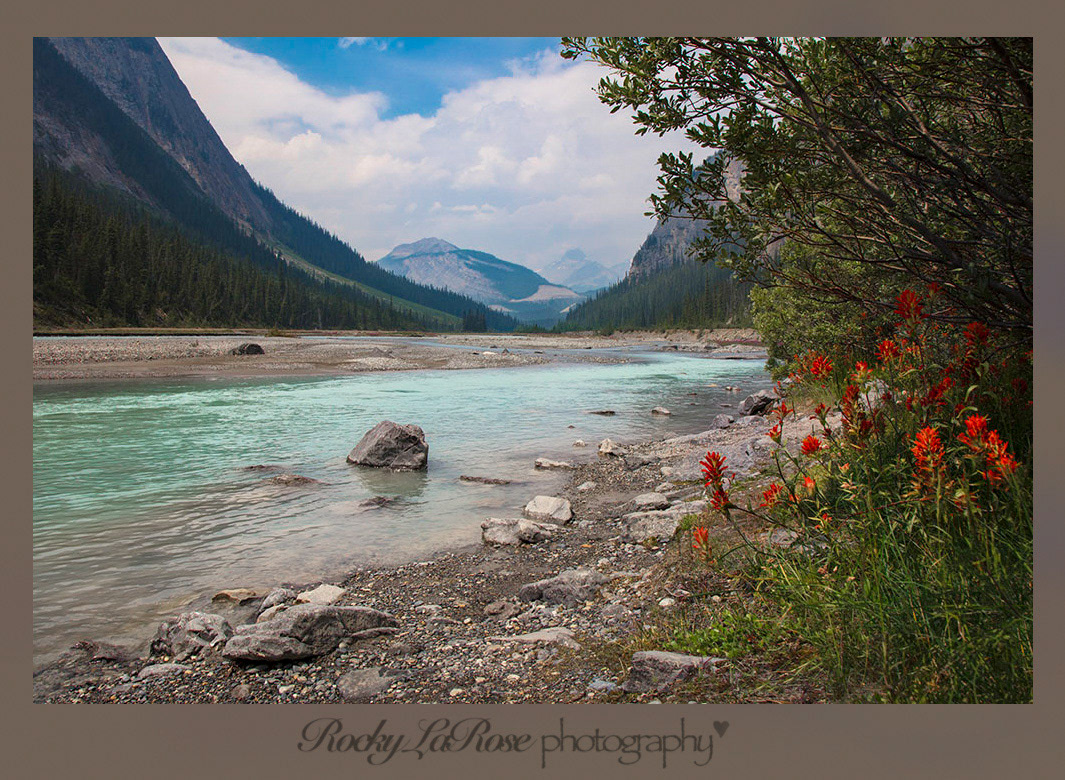 Alberta, Canada