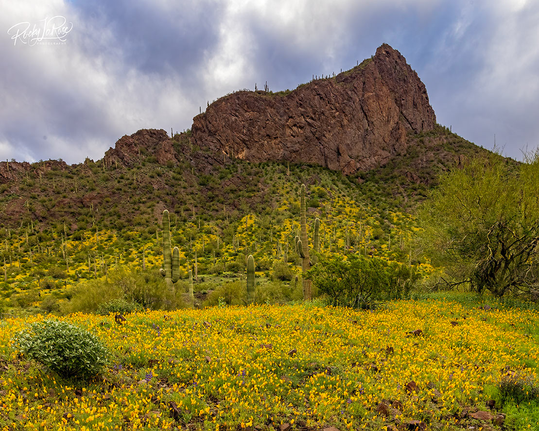 8 Picacho Peak