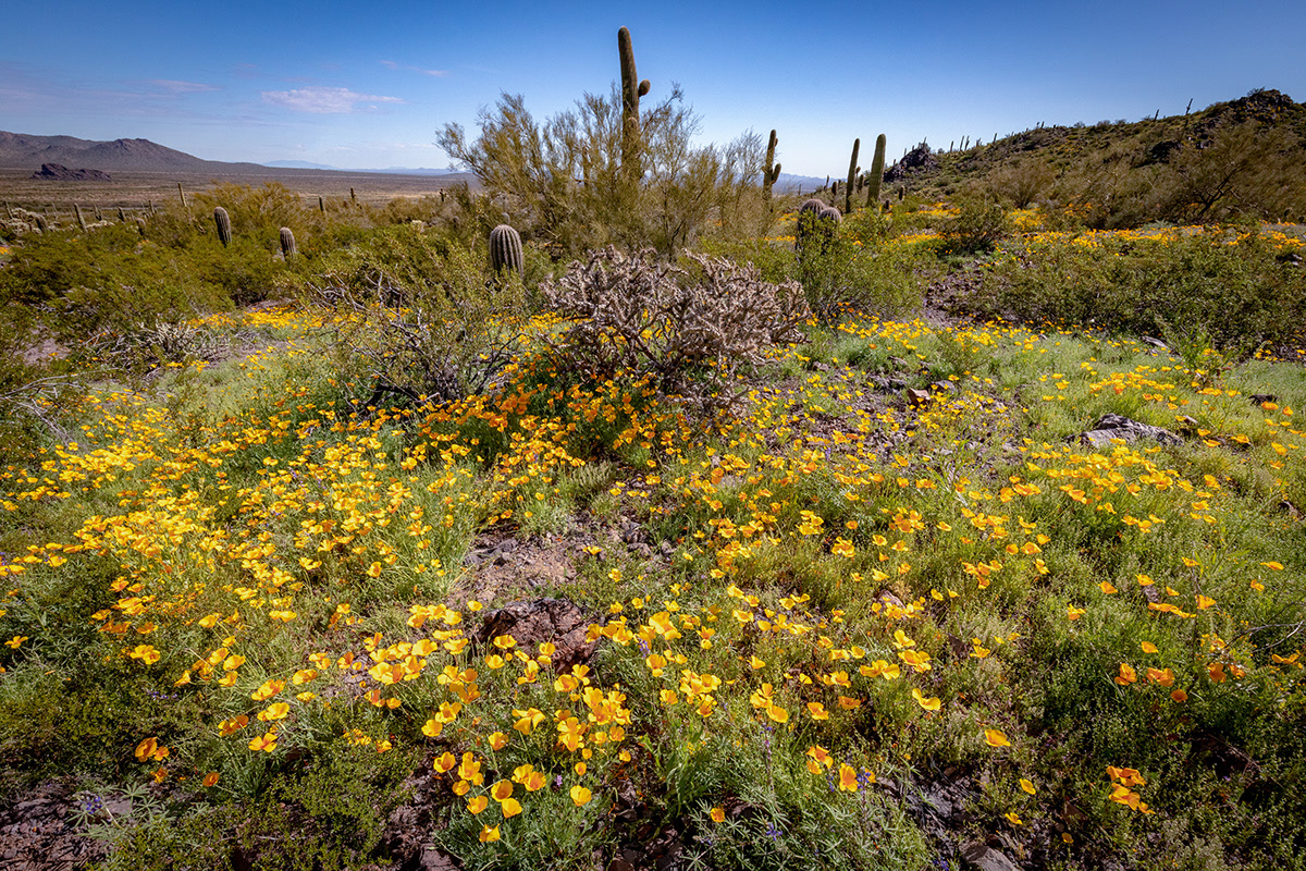 1 Picacho Peak