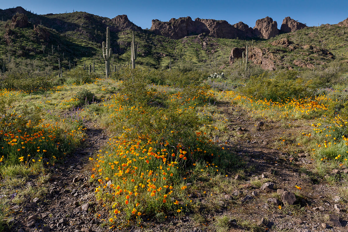 3 Picacho Peak