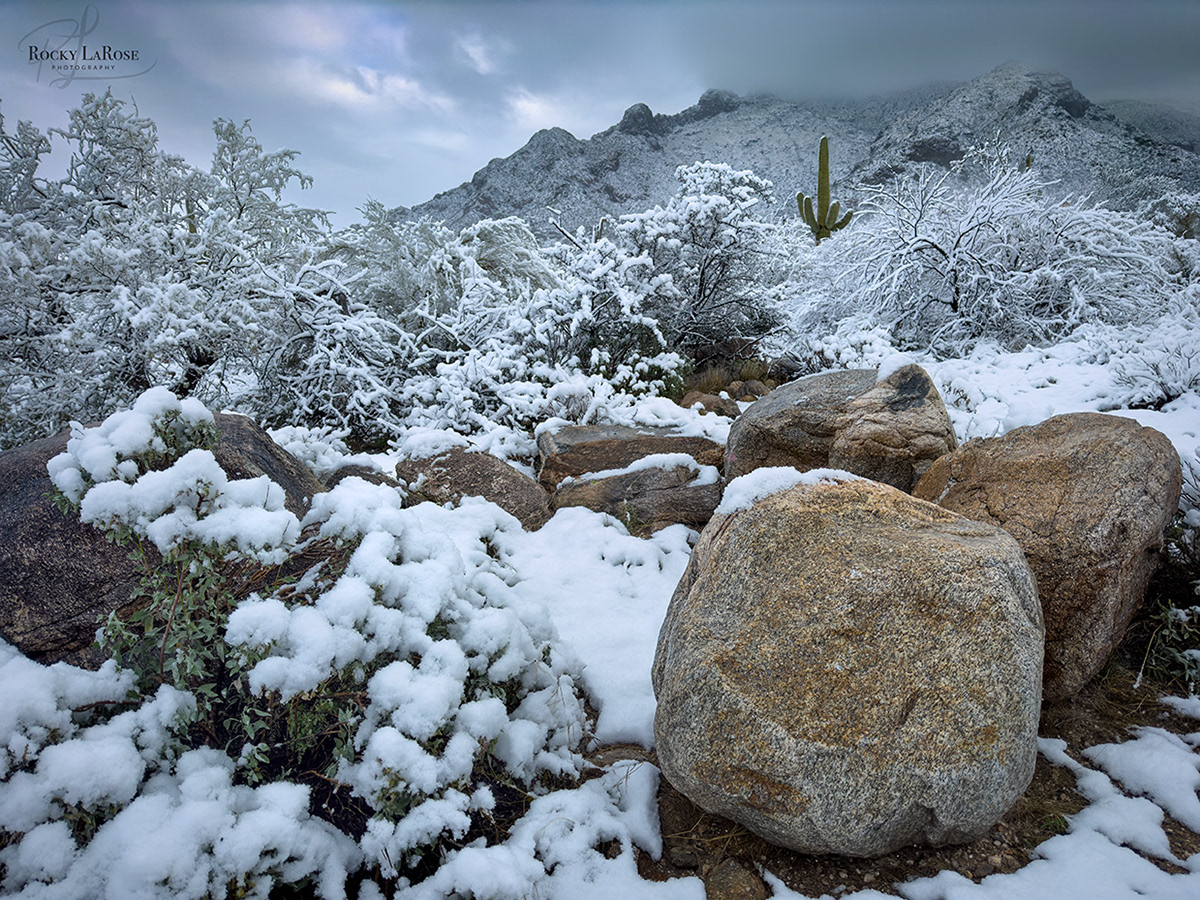 Pima Canyon 4