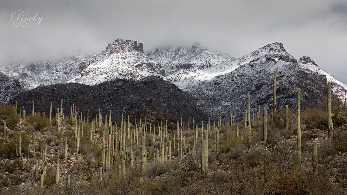 Sabino Canyon 2