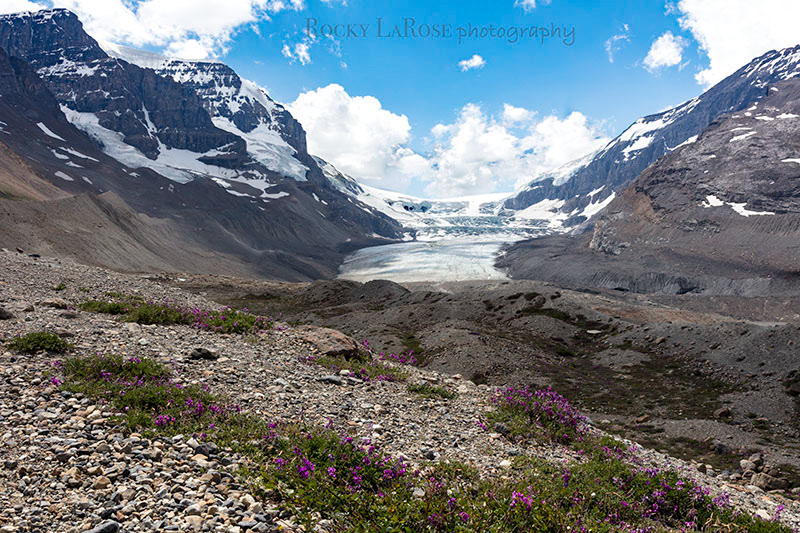 Athabasca Glacier, Alberta, Canada