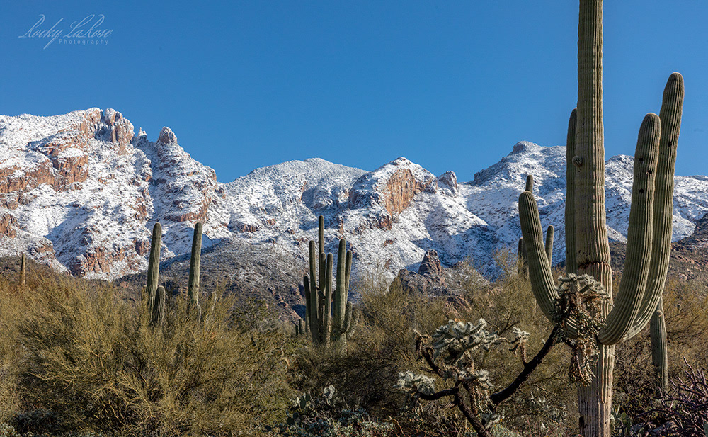 Finger Rock, Santa Catalina Mountains 4