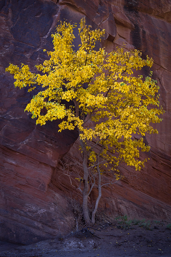 14 Canyon de Chelly
