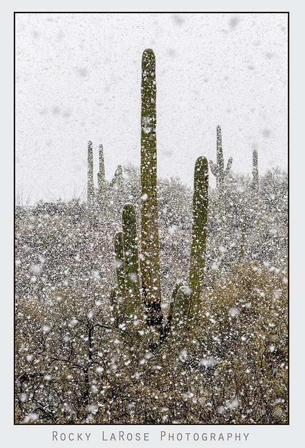 Tucson 1