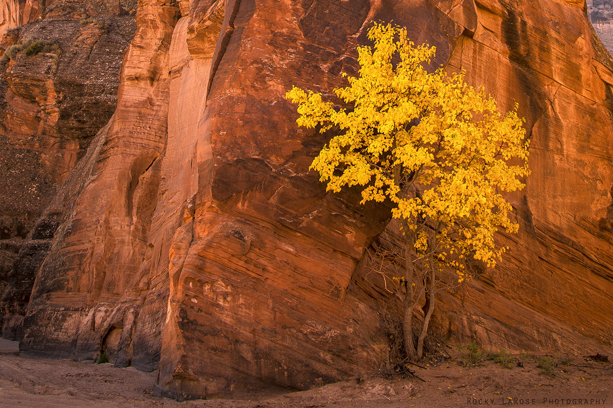 9 Canyon de Chelly