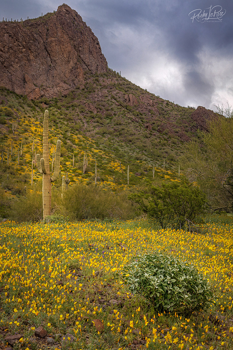 7 Picacho Peak