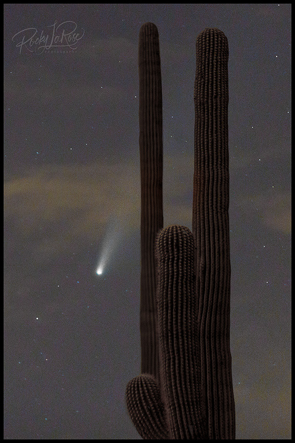 1 Neowise Coment (2020)