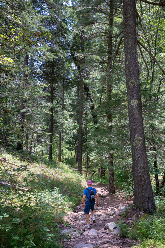 13 Mt. Lemmon Marshall Gulch