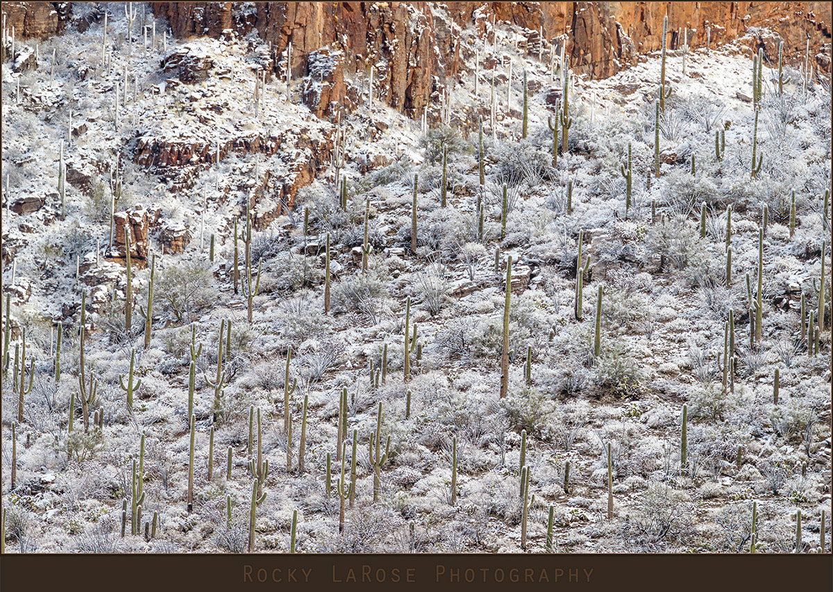 Catalina Mountains 3