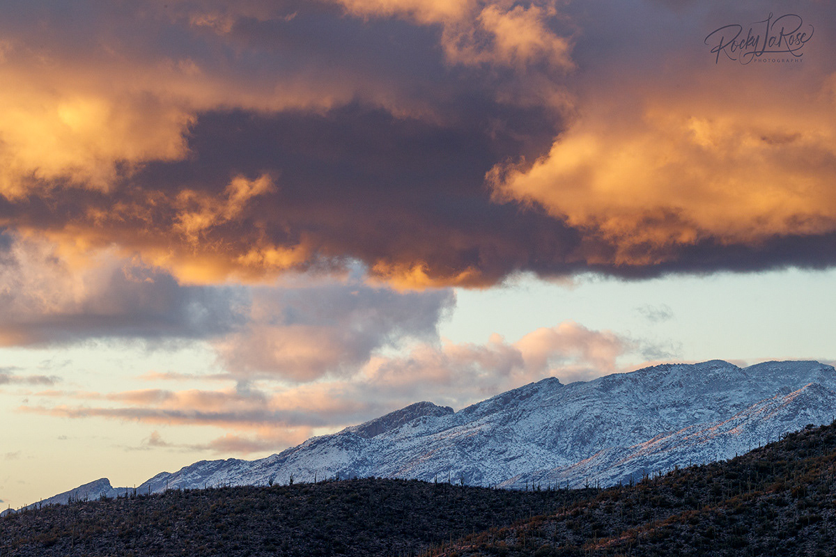 Catalina Mountains 6