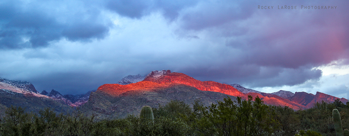 Catalina Mountains 7