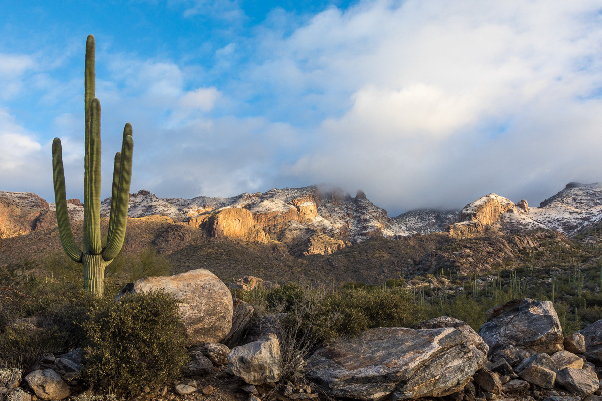 Finger Rock, Santa Catalina Mountains 6