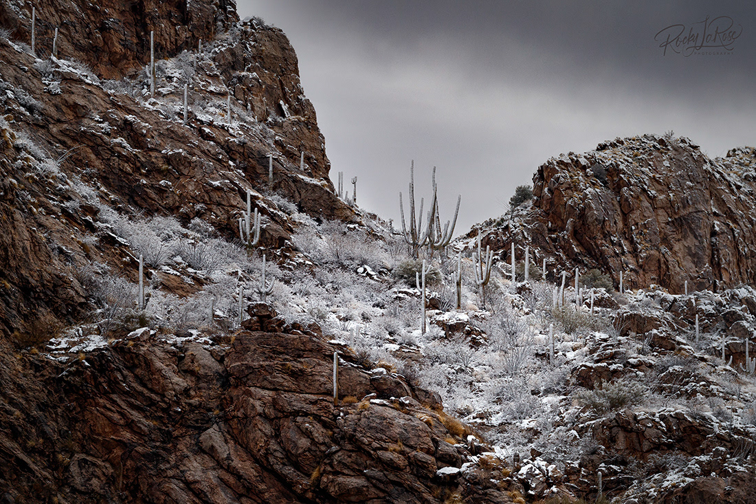 Catalina Mountains 1