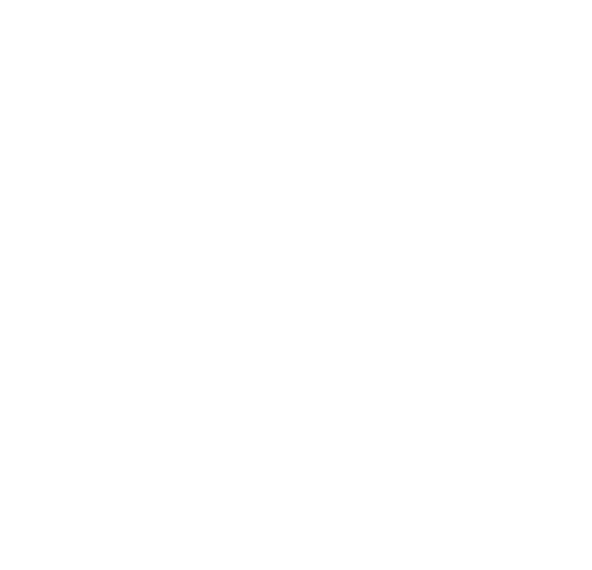 Robert Bell
