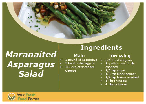 Recipe Card ver. 1: the art director wanted the whole ima