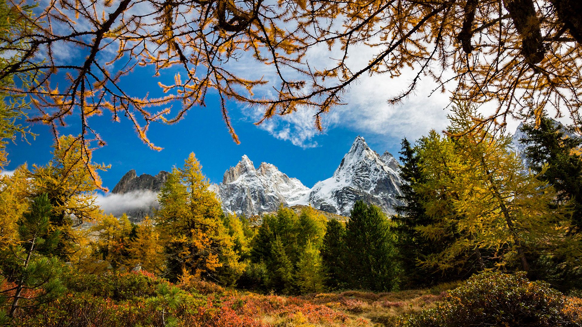 Automne sous Blaitière