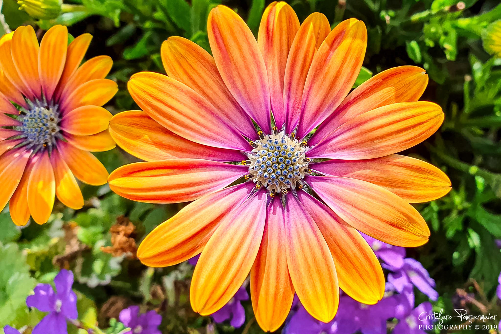 Using my phone (Samsung S10e)