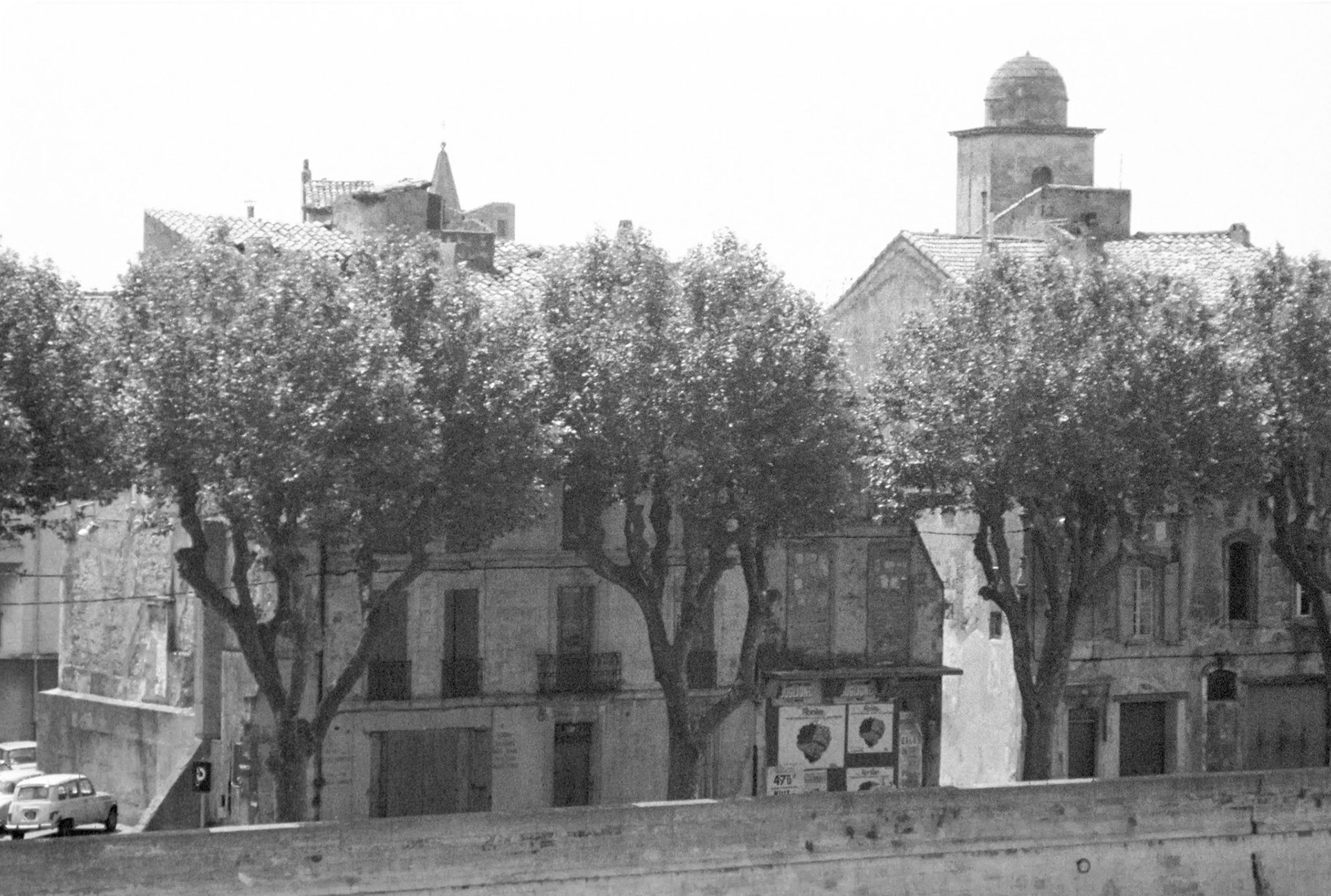Avignon