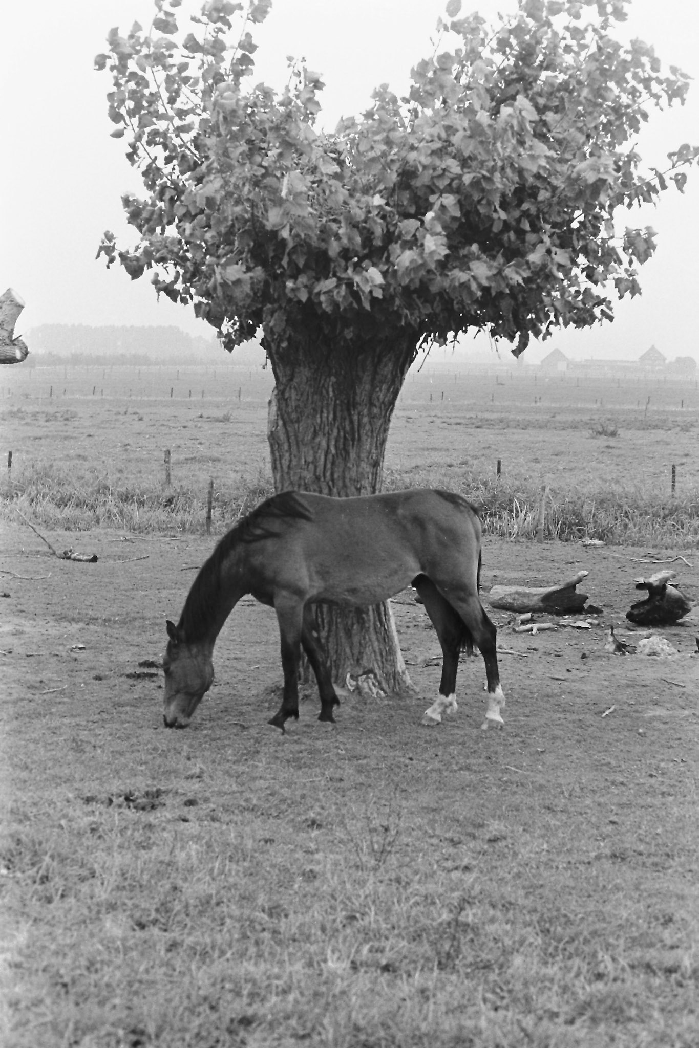 Land van Herwen en Aerdt