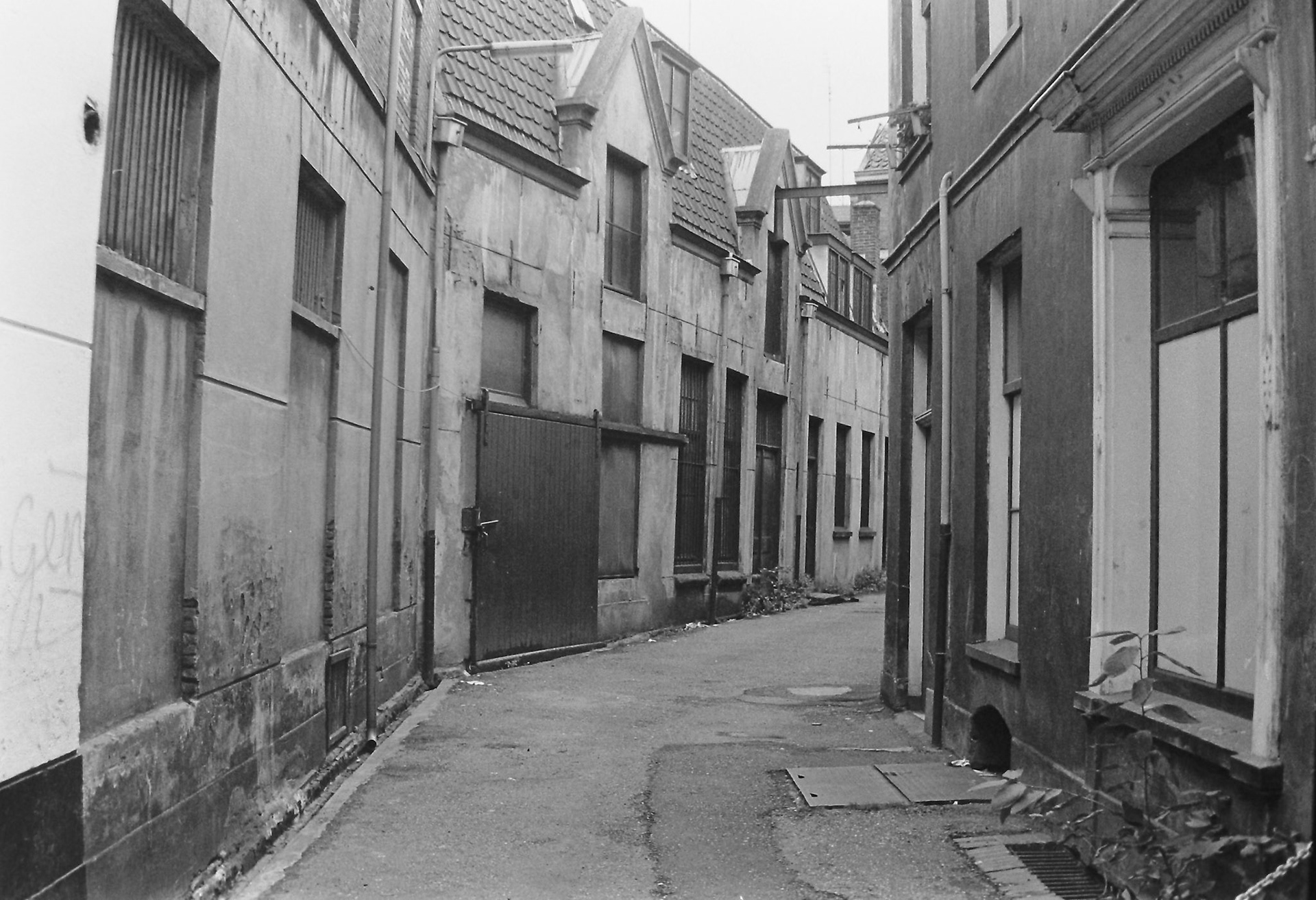 Het Eiland