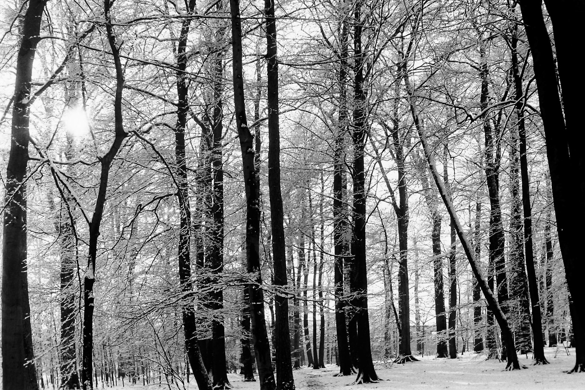 Winter in Zypendaal