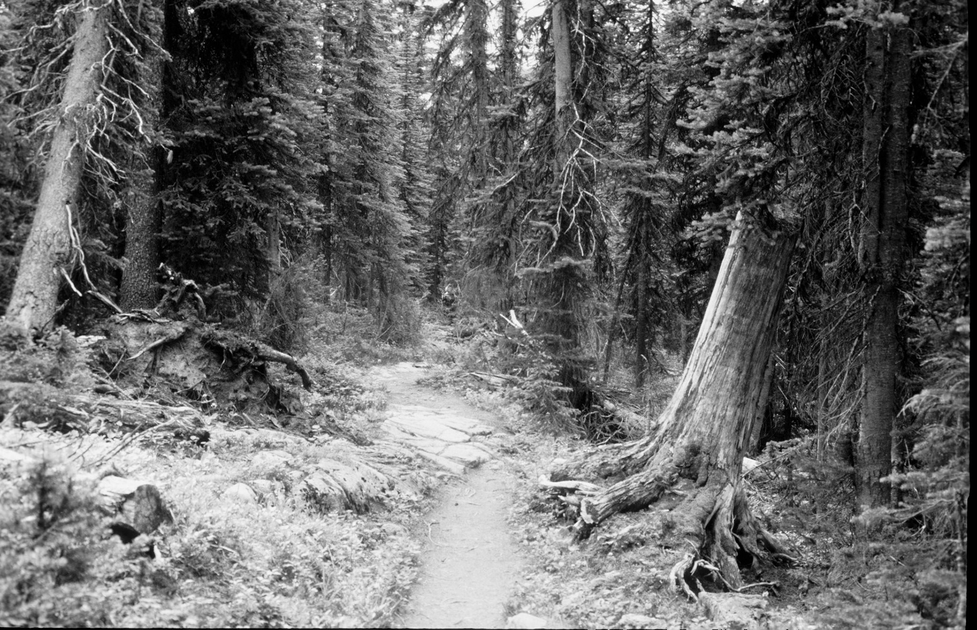 Gemaakt door gevangenen