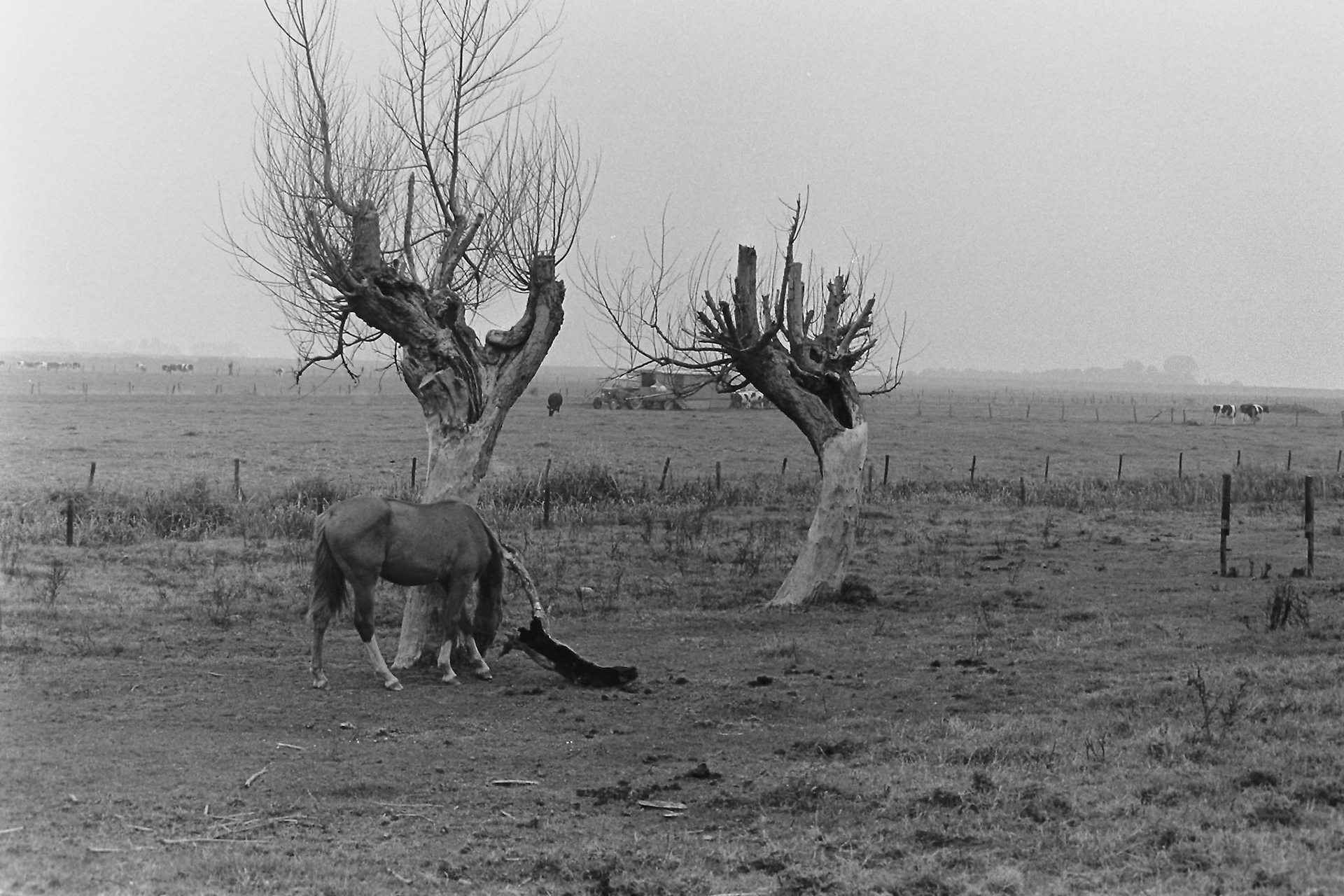 Land van Herwen en Aerdt