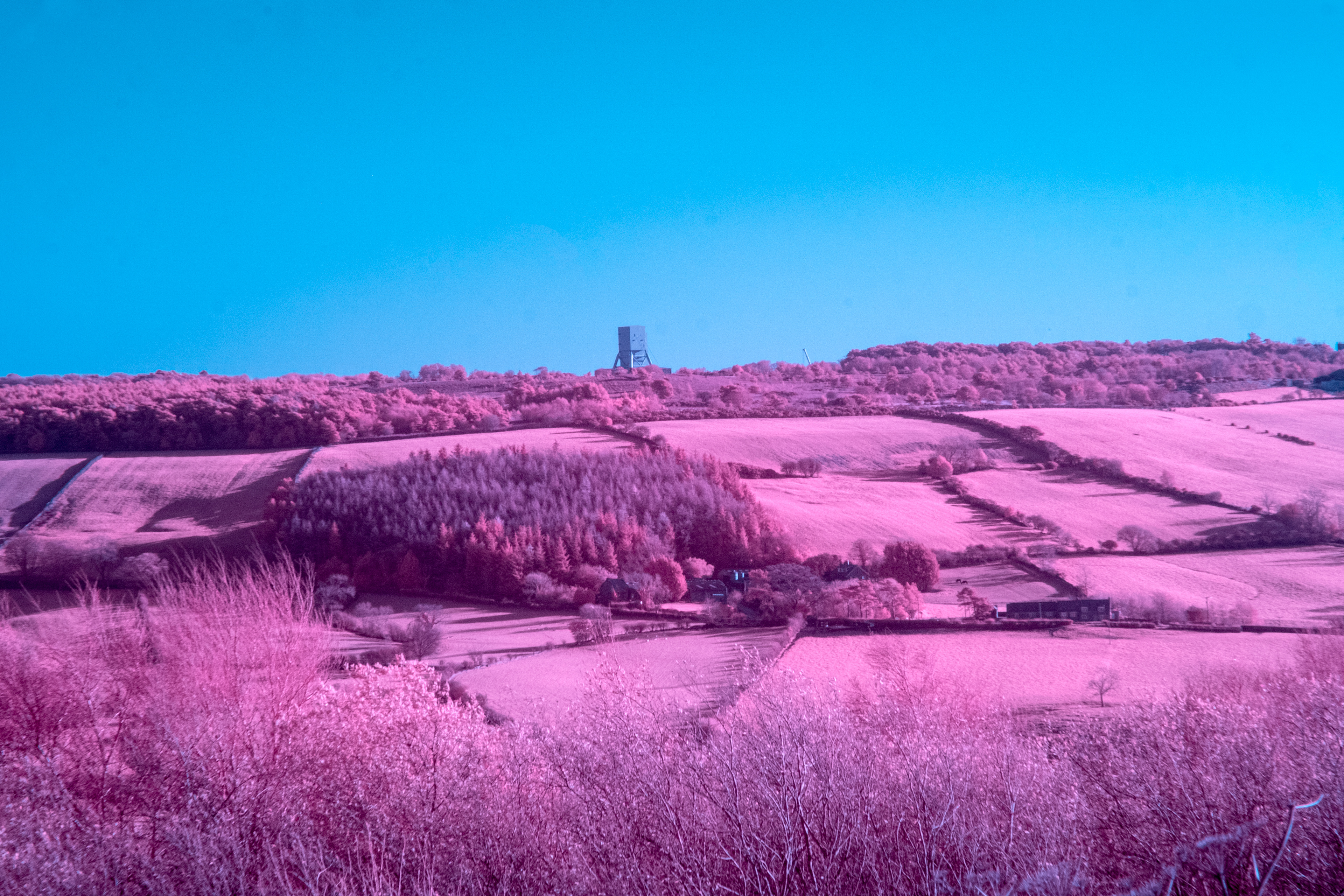 Whitby (2022) 540NM