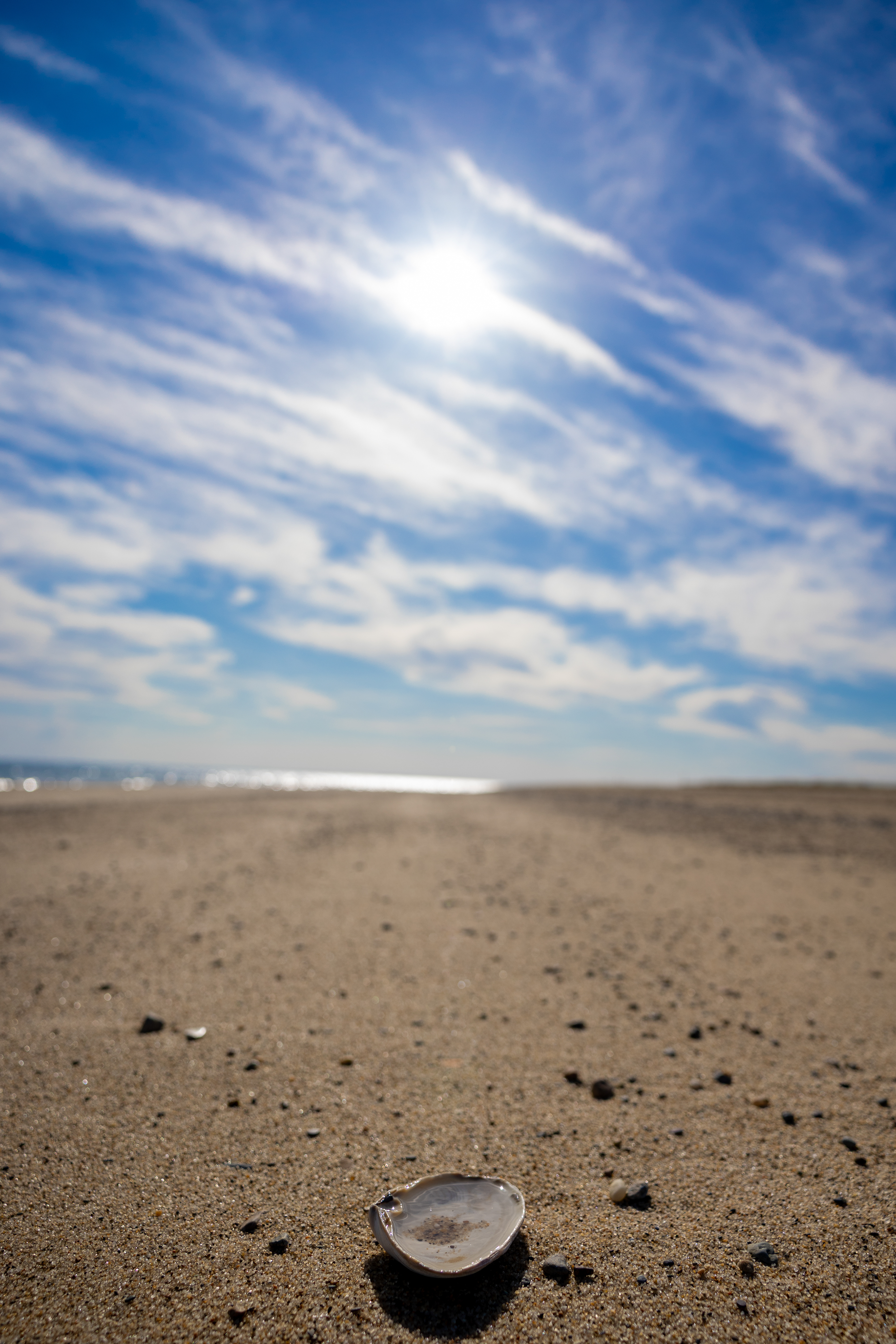 2025 Provincetown, Massachusetts