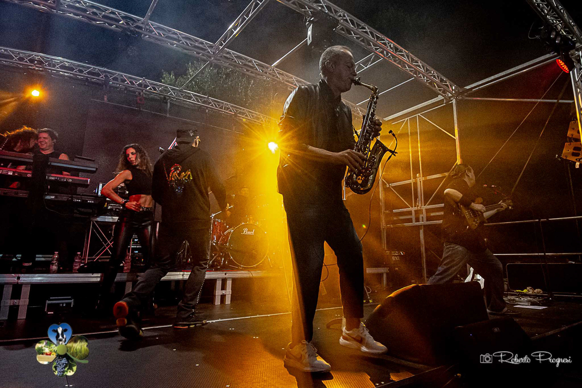 Diapasonband