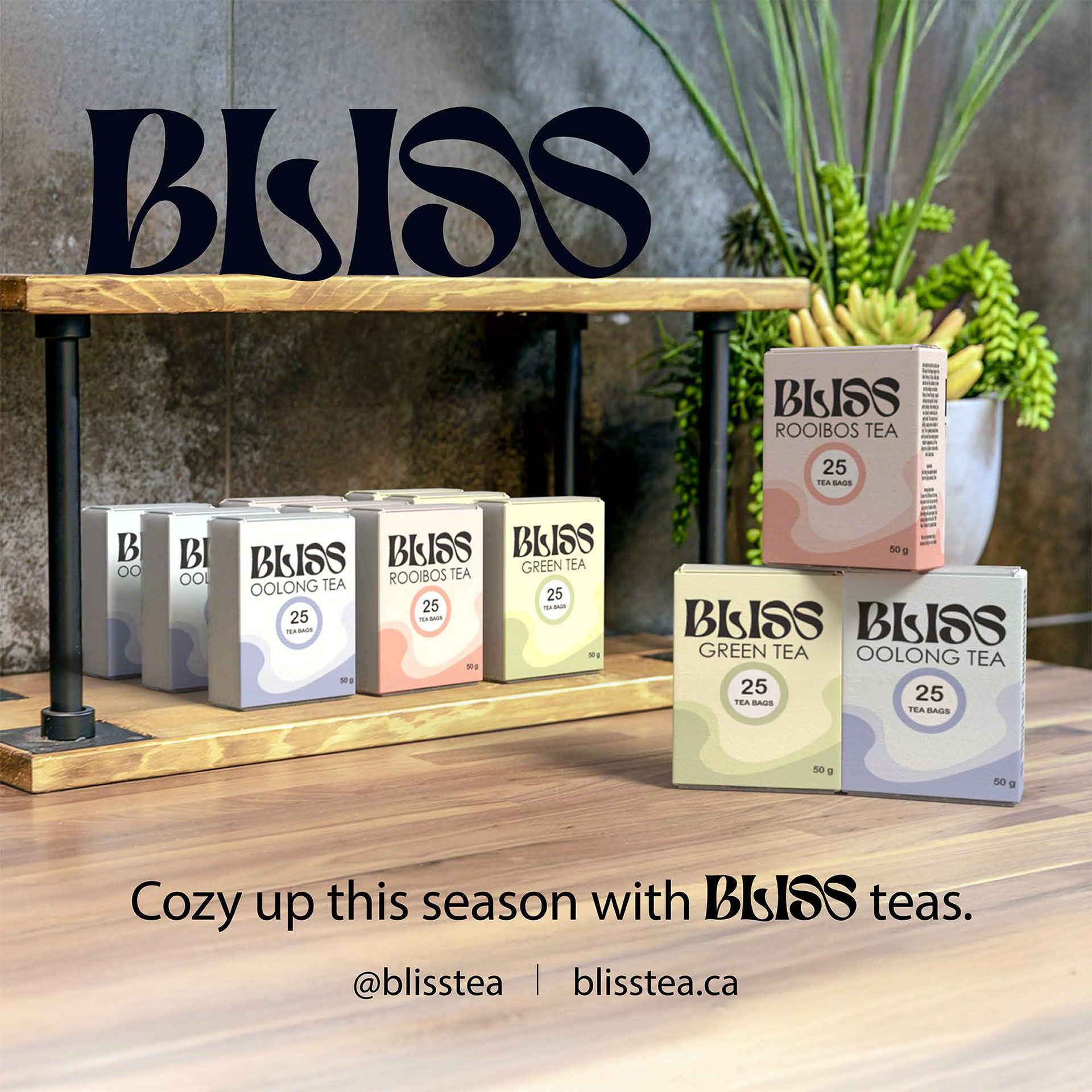 Bliss Tea Digital Ad