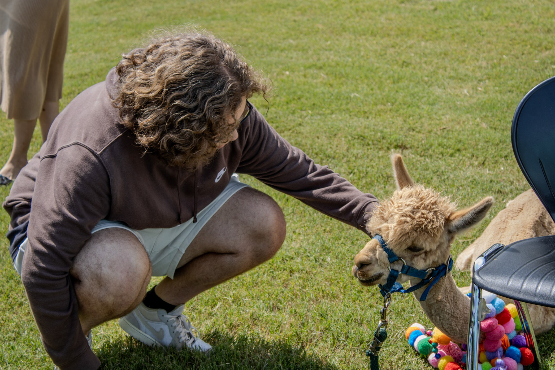 Gwinnett Technical College Alpharetta North Fulton Back To School Bash