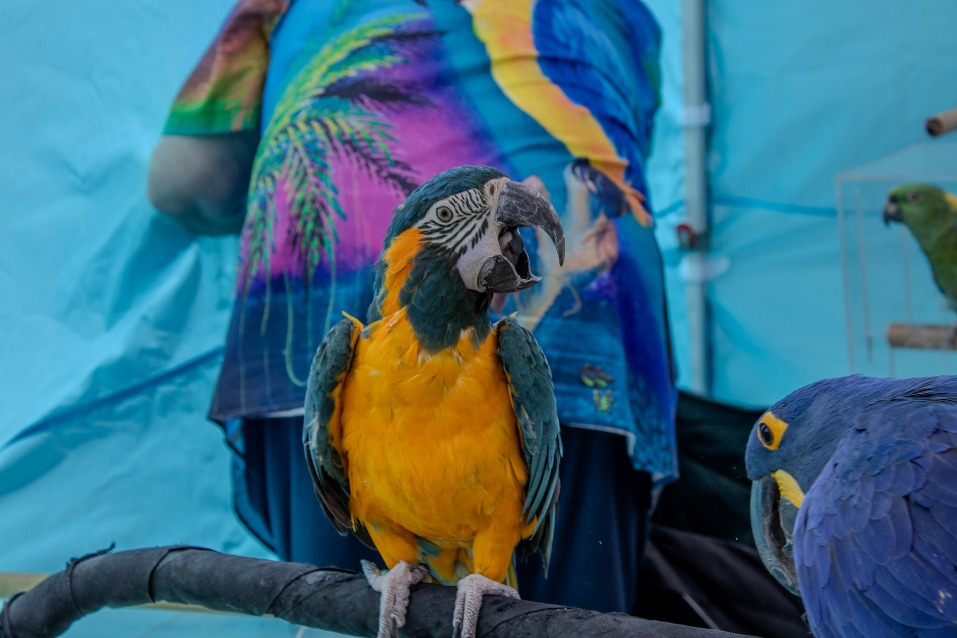 Gwinnett Technical College Alpharetta North Fulton Back To School Bash